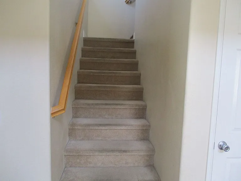 1411 Livingston St — Photo 7