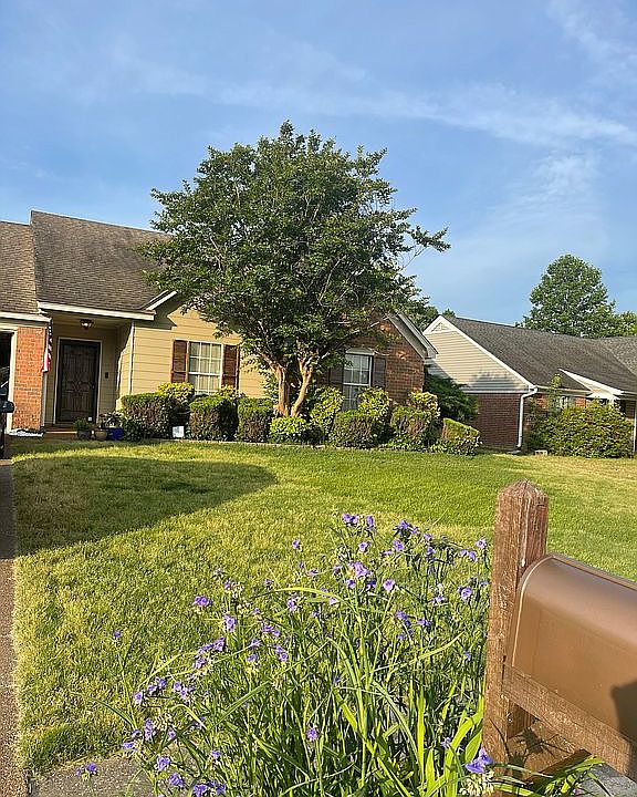 2nd image of 7577 Bridelwreath Dr