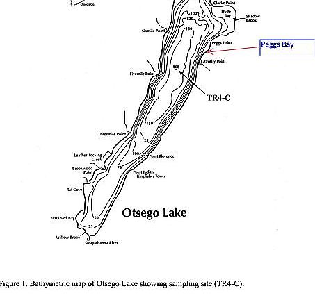 3rd image of 162 Peggs Bay