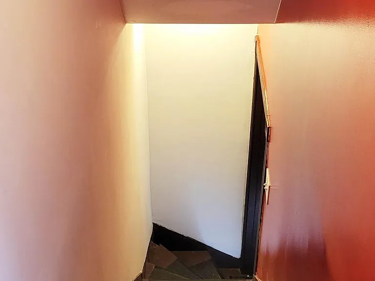 3834 Manayunk Ave — Photo 11