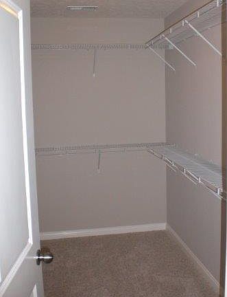 3rd image of 1309 Chicory Way
