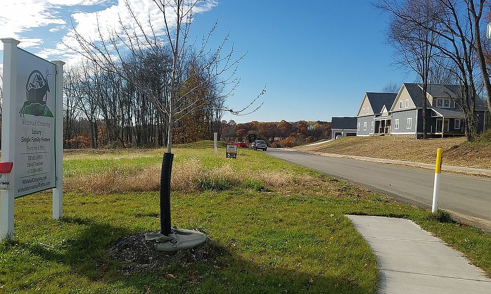 2nd image of 807 Whitetail Cir