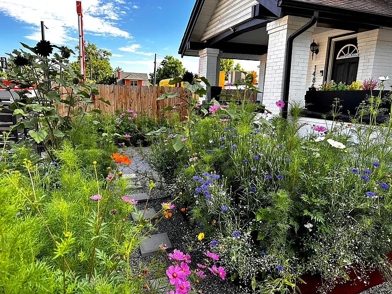 Front yard garden beds can be flower garden or vegetable garden. Drip lines installed for easy maintenance
