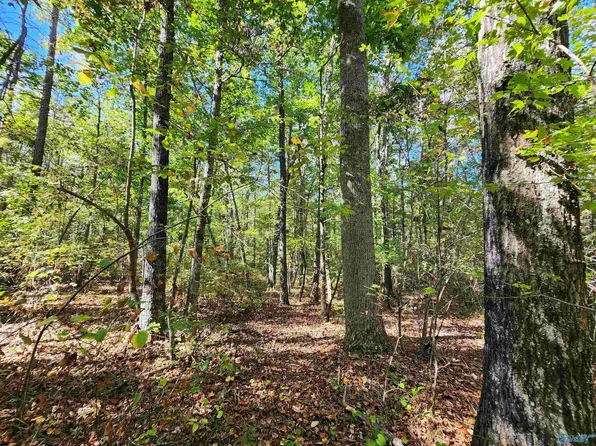 17 Hunters Rdg, Mentone, AL 35984