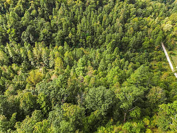 3rd image of 1397 Lick Creek Rd