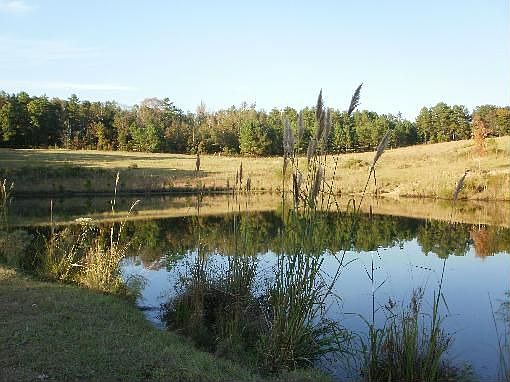2nd image of 91 County Road 3125