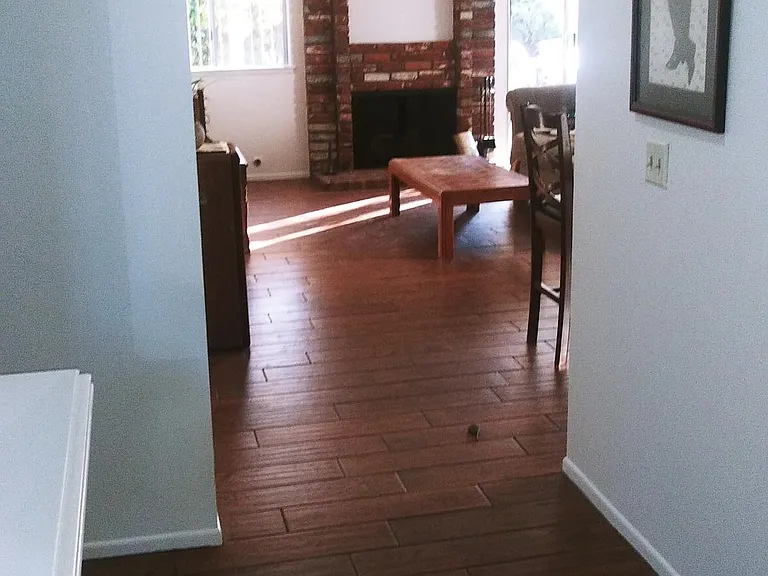 230 Las Riendas Dr — Photo 7