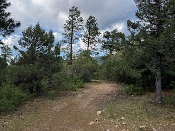 3rd image of Log Ridge Trl