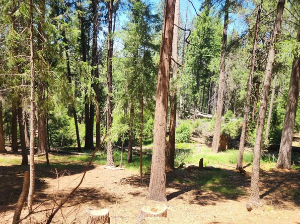 5741 Lupin Ln, Pollock Pines, CA 95726
