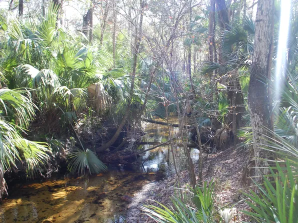 848 S County Road 21, Hawthorne, FL 32640