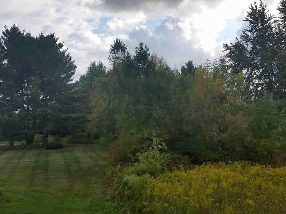 2nd image of 0 W Farrand Rd