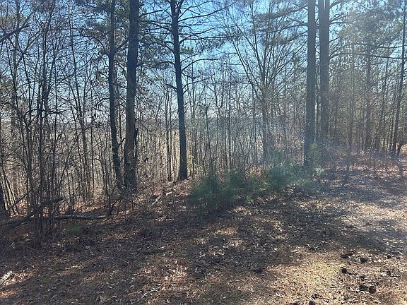 5th image of 111 Riversong Rd #55