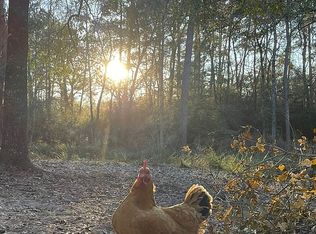 10007 Seneca Trl, Magnolia, TX 77354