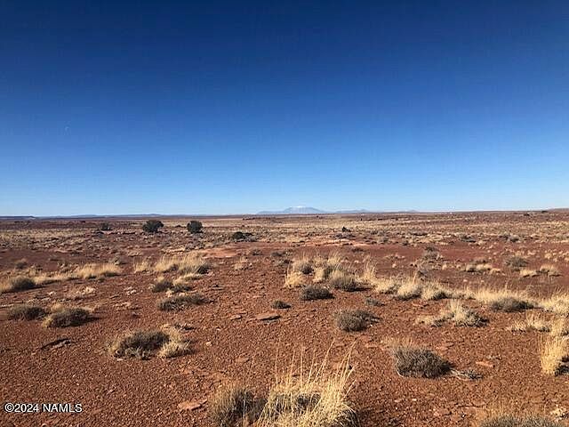 2nd image of 273 Antelope Trl