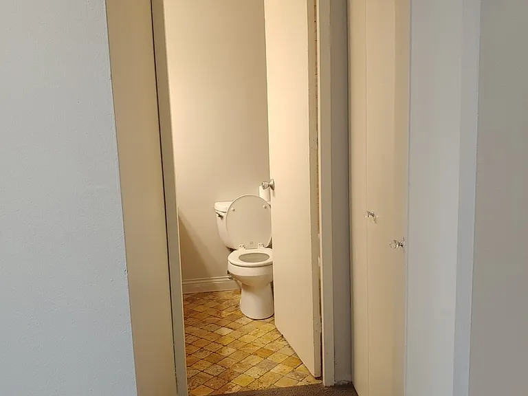 233 E Erie St #2409 — Photo 15
