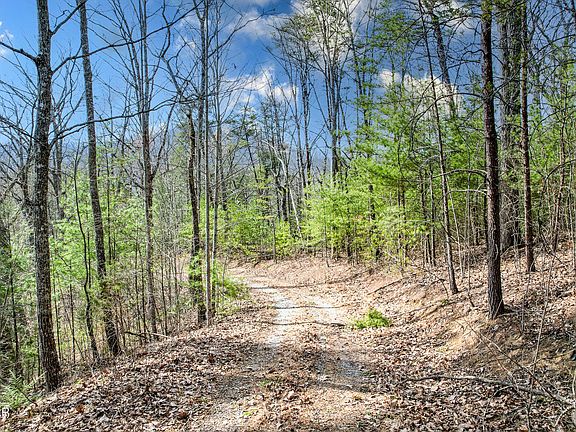 3rd image of LOT TR1 Tall Oak Way
