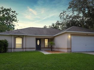 10 Bay Ridge Loop, Mascotte, FL 34753