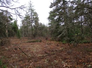 1604 Valhalla, Grayling, MI 49738