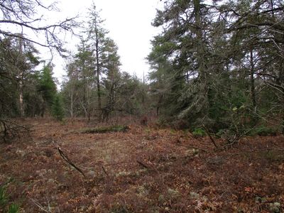 1604 Valhalla, Grayling, MI, 49738