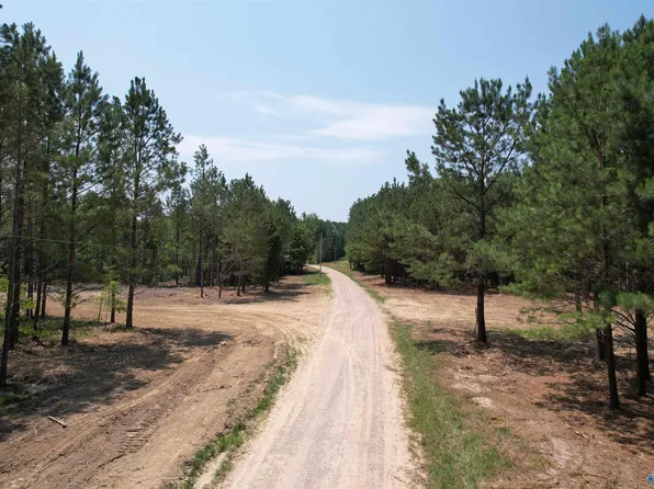 2 County Road 79, Danville, AL 35619