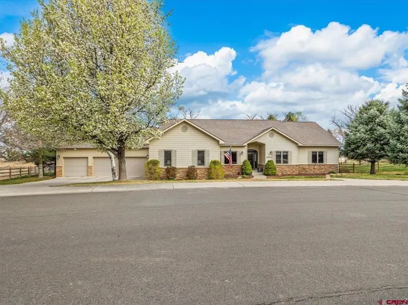 2017 Tree Line Lane, Montrose, CO 81403
