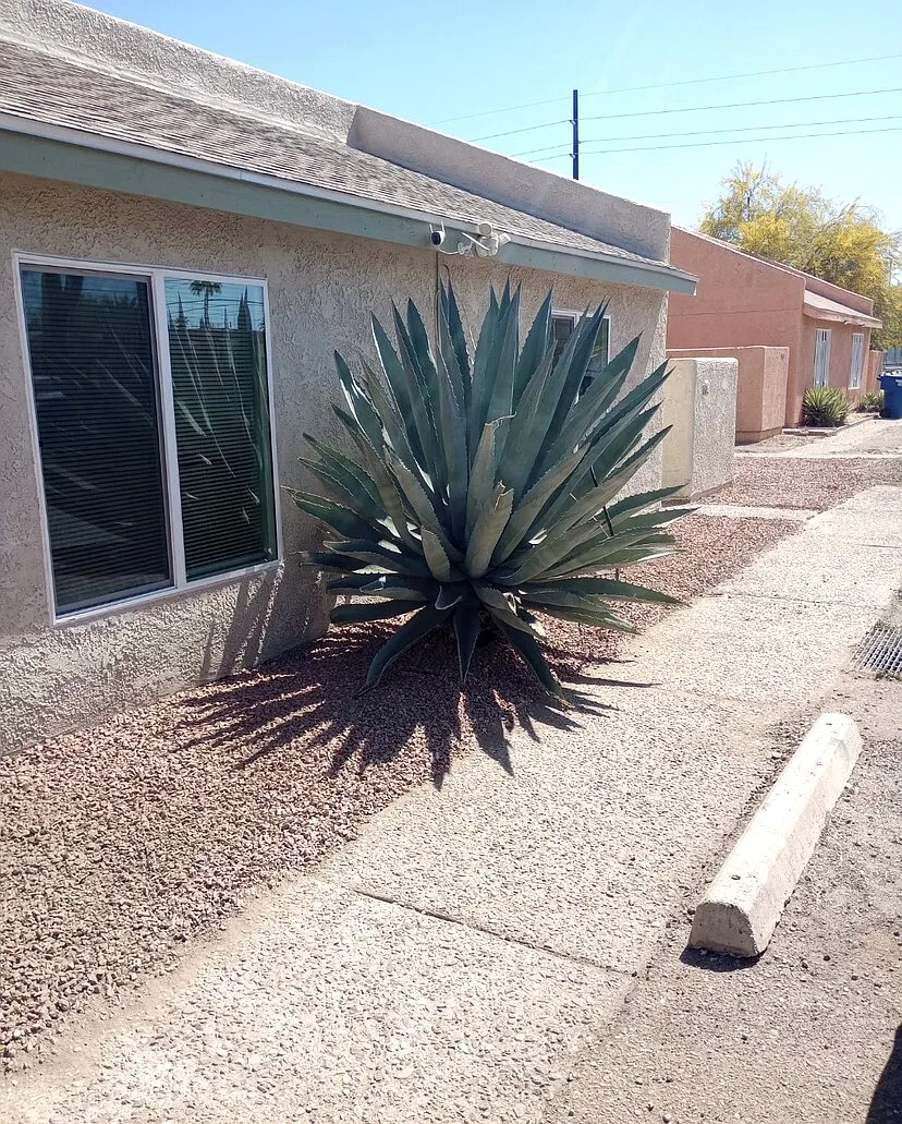 Pima Street - 3455 — Photo 1
