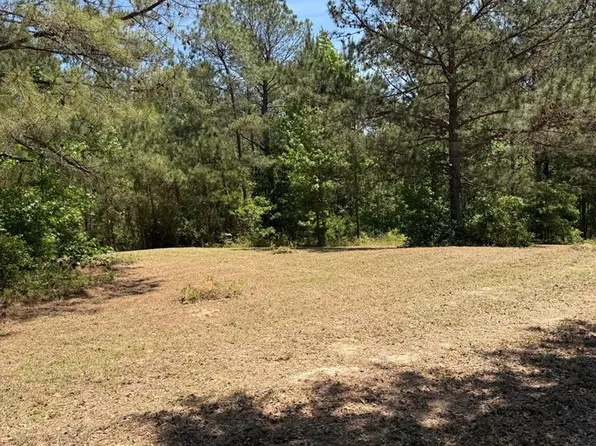 0 County Road 50, Abbeville, AL 36310