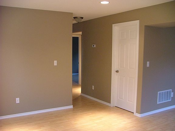 Designer Paint