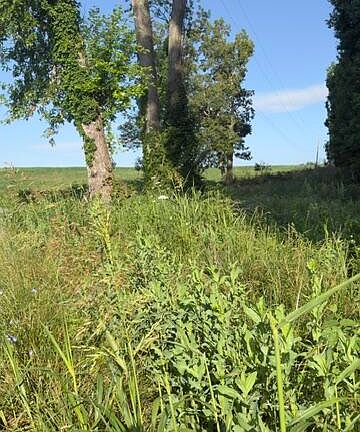4th image of 1350 Norwood Mount Zion Rd