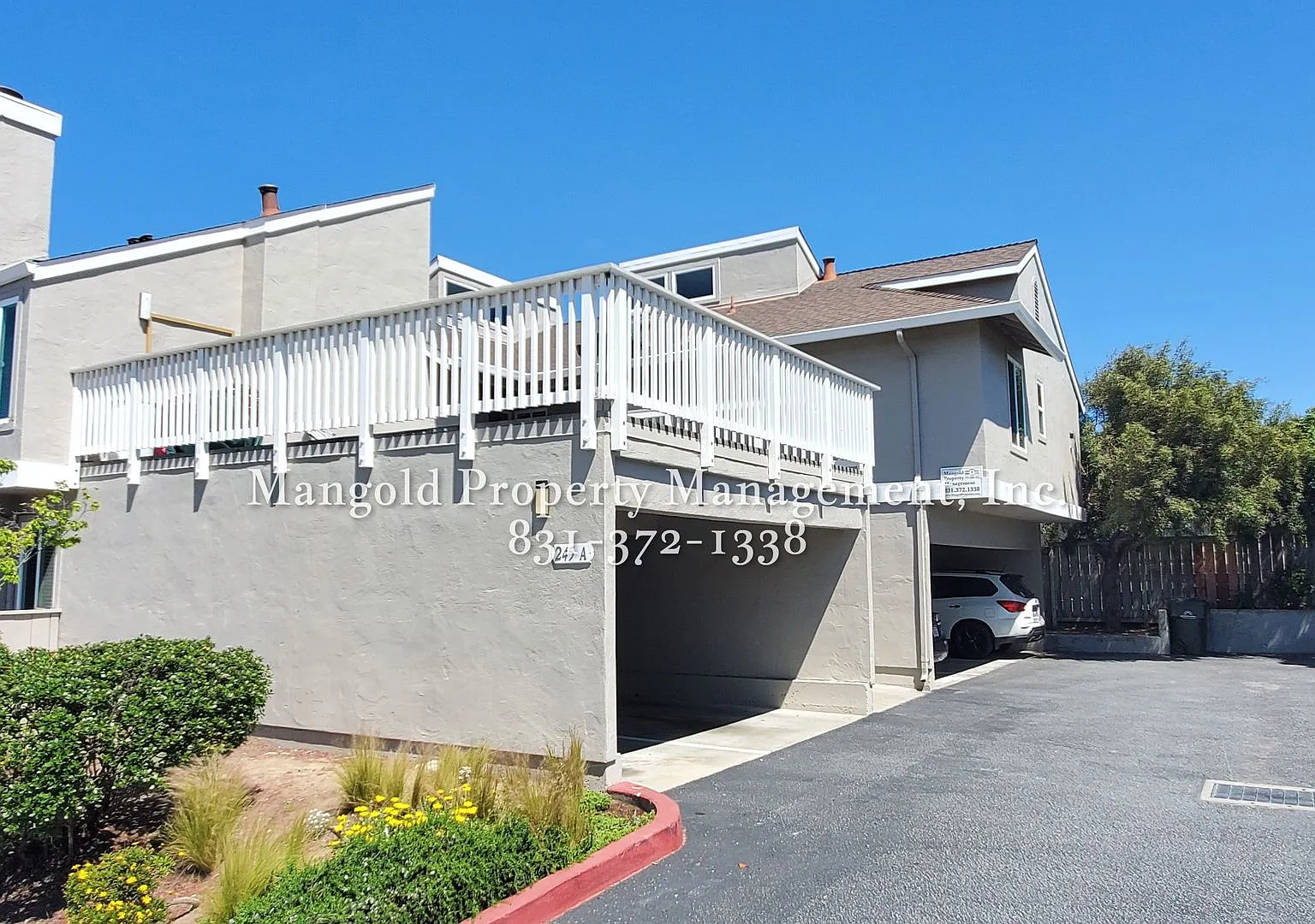 245hill — Photo 2