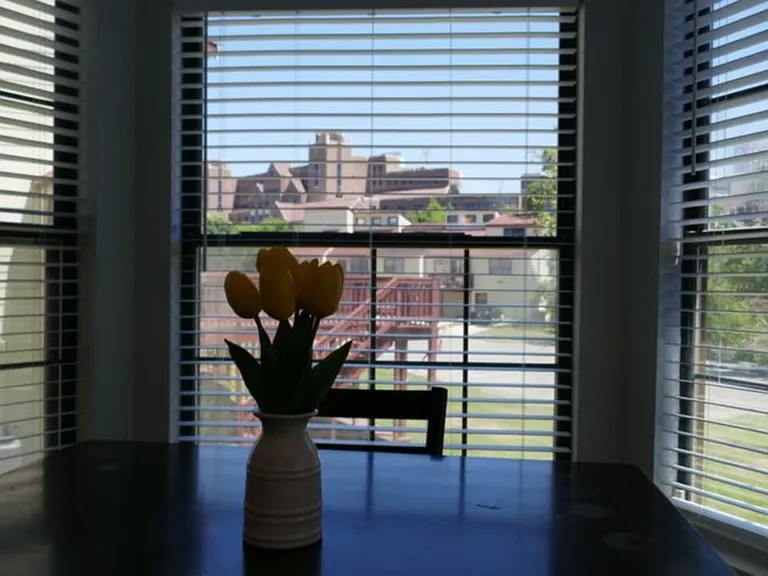 431 Indian Village Trl — Photo 3
