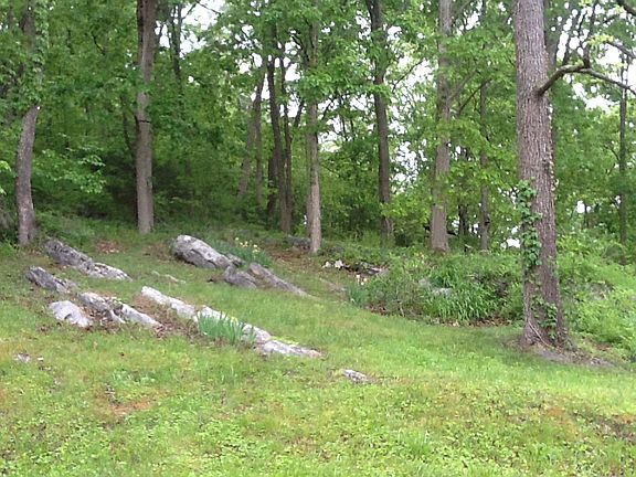 back yard and beyond