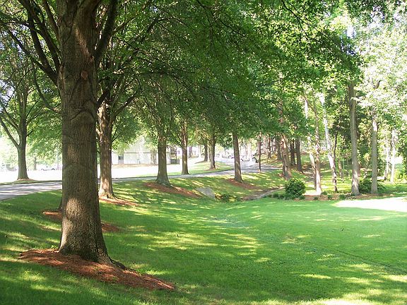 Well Manicured Grounds