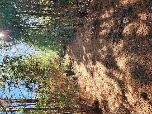 3rd image of Xx Big Creek Rd