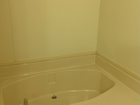 Garden tub in master bath