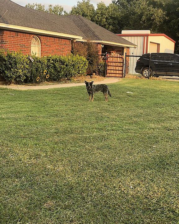 1st image of 203 Vinyard Dr