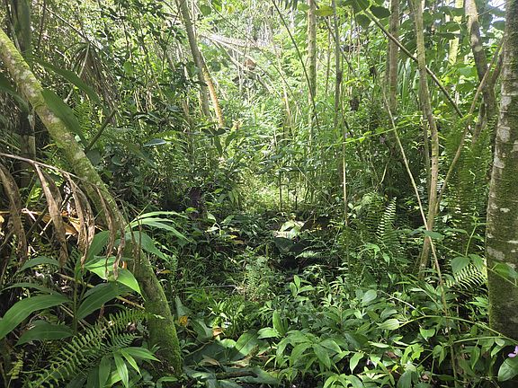 5th image of Laau Way Lot 39