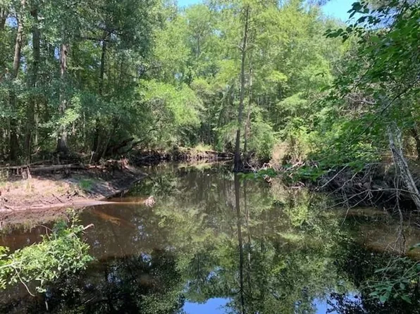 Bakers Mill Rd, Rowland, NC 28383