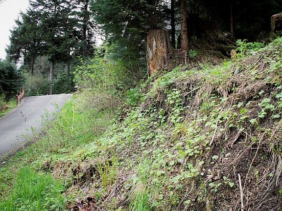 5th image of 7840 Glacier Hwy