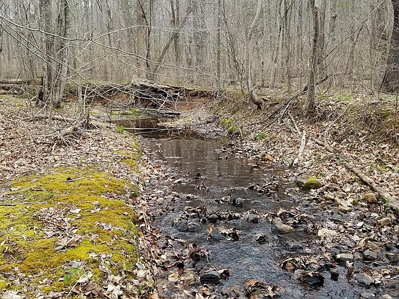 3rd image of Tract 6 Wyatts Way