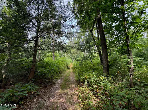 Muley Ln, New Enterprise, PA 16664