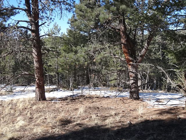 2nd image of 109 Badger Lake Cir