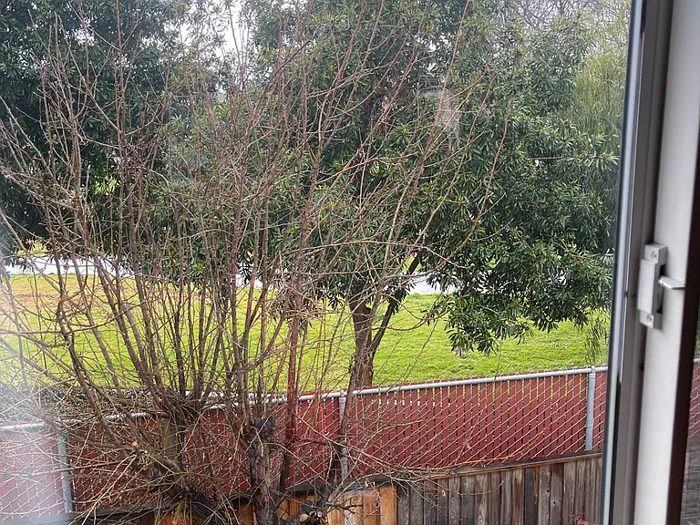 park view from one of the bedroom