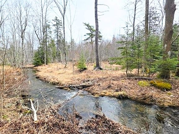 2nd image of 0 Upper Leitches Creek Rd