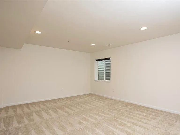 Lower level living room