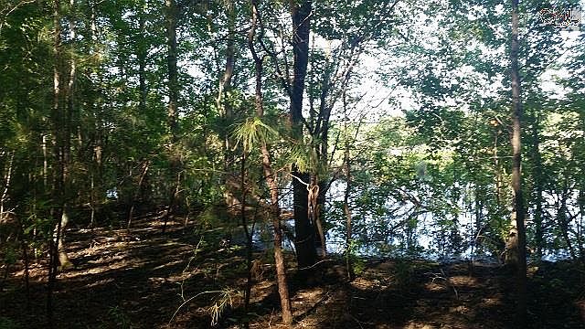 2nd image of 1810 Fort Jackson Rd