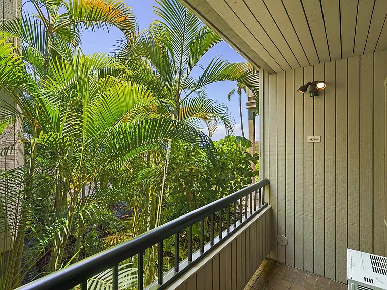 Wailea Ekolu Pl — Photo 26