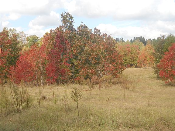4th image of 3976 Highway 1228