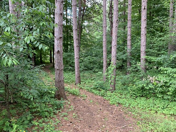 4th image of LOT 264 Pontiac Dr