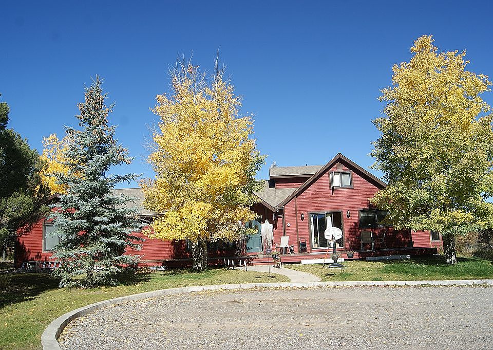 Front yard aspens in Fall!